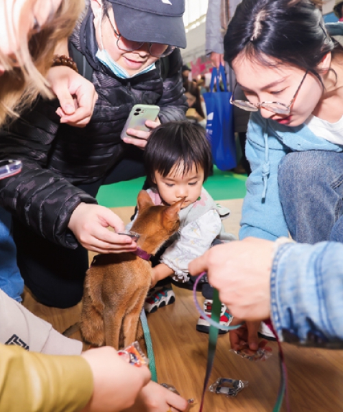 The 4th China Pet E-Commerce Development Forum