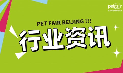 贵为（GiGwi) 品牌创始人于帅：小鸟的故事丨LUMI“把灯打开”