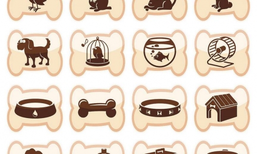 让你动心的萌宠经济千亿市场