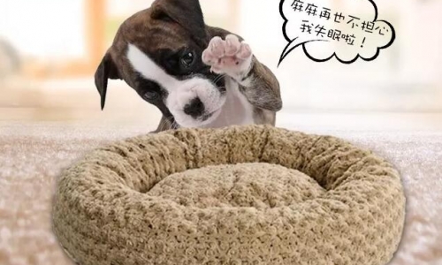 舒适狗窝垫用品选择京宠展
