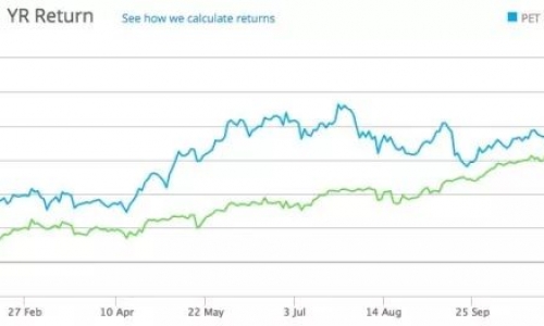 宠物股让投资人买上瘾 中金：宠物行业处于快速发展期！