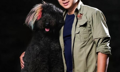 调良宠物:国内首部动物拟人电影《麦兵兵》的幕后推手!