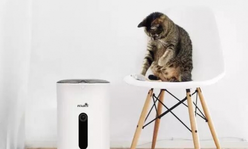 中国最专业宠物饲养管家|派旺登陆2018京宠展啦!