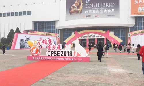 属于铲屎官们的年度盛会 猫洁易和你们一起度过!