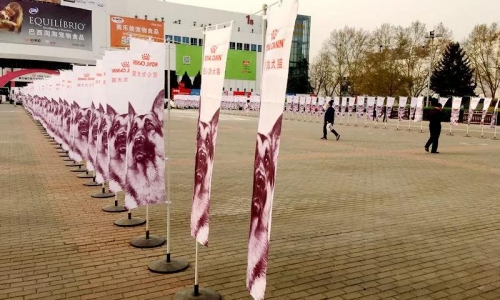 回顾：托玛仕参展第五届京宠展,高逼格展位亮了