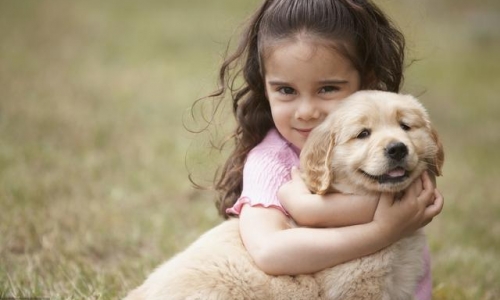 宠物小常识:彻底扫除对宝宝健康的威胁