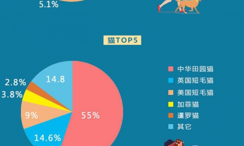 养个“毛孩子”到底会花多少钱？“宠物经济”了解一下