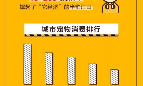 宠物地位攀升,双12宠物用品订单就有400万笔