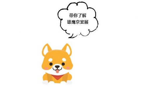 采购模式:京宠展现场赏心悦目，产品质量深入人心！