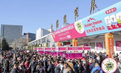 回顾:第六届雄鹰京宠展17日圆满落幕,砥砺前行,与您相约2020!