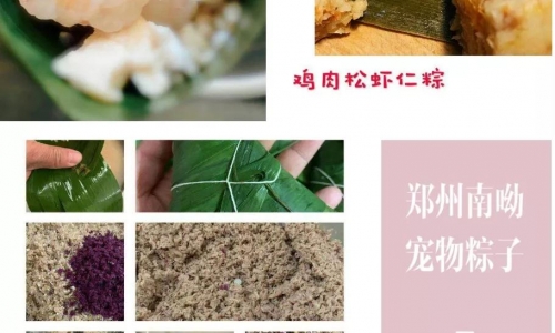 盘点:专为宠物设计的粽子系列|人不如狗