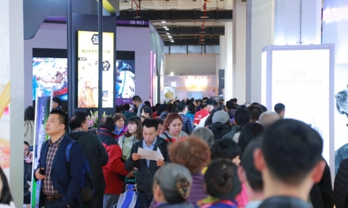 喵哆啦人潮涌动 京宠展燃爆京城