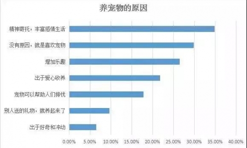 宠物行业新风口:实体商业与宠物经济结合的4个创新方向