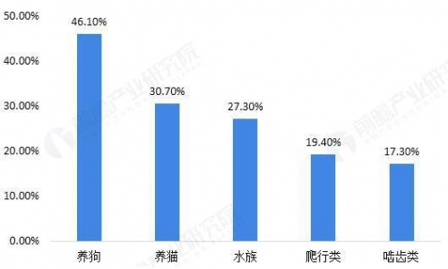 2018中国宠物用品及服务发展现状及前景 宠物数量庞大