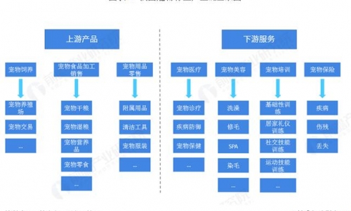 中国宠物行业市场分析：宠物食品和用品行业发展较快