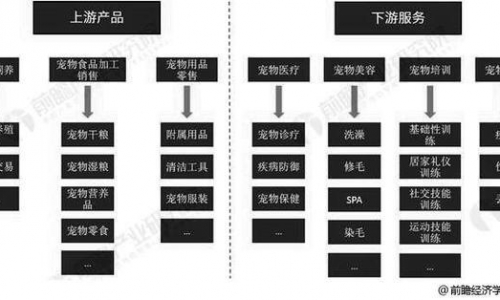 中国下游市场宠物分析：宠物医院竞争激烈 宠物美容提升空间巨大