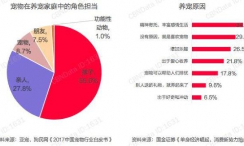 为什么：养宠动机——从看家护院到精神陪伴