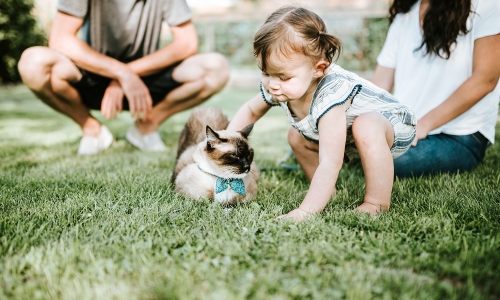 《猫局三缺一》一档围绕“萌宠”的探店访谈栏目！