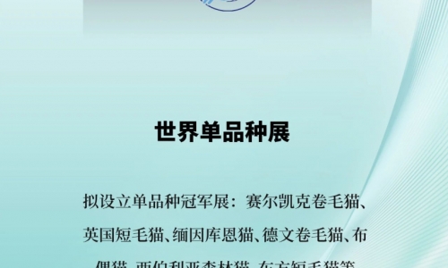 盛世猫影，共绘华章—— 2024千猫大赛纯种猫盛典，沈阳启航！