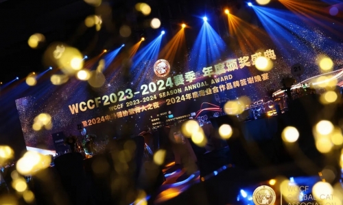 【独家回顾】WCCF国际纯种猫年度盛典：猫领风华 璀璨如星