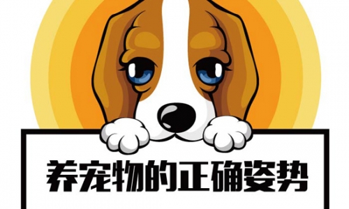 摆正养宠物的正确姿势