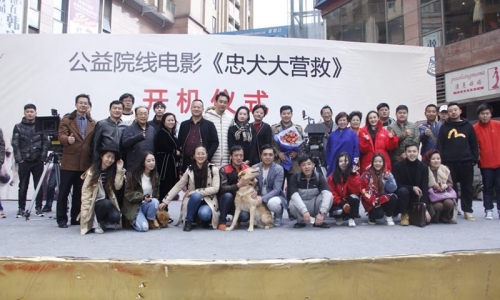 宠物公益电影《忠犬大营救》在佛山举办开机仪式