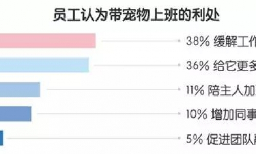 办公室宠物文化渐渐兴起,背后竟隐藏商机?