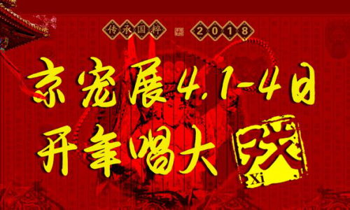 宠物界爆棚：数万人聚集京宠展，现场观看跨年“唱大戏”