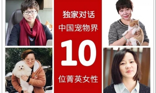 独家对话:中国宠物界10位女性菁英!