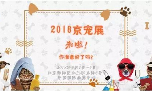 京宠展怎么玩?当然是和宠爱一起玩