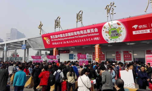 精彩回顾|全球目光汇聚第五届雄鹰京宠展盛会第二天