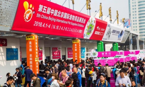 京宠展公益之旅 |金多乐之汪汪喵呜孤儿院与小金公益