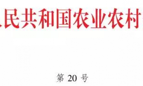 注意:《宠物饲料管理办法》等6大规定出台,6月1日起正式实施