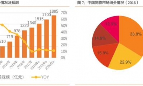 宠物居然那么有前景?