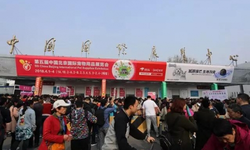 北方最大宠物展将至，你准备好了么？