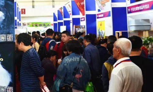 狂欢北京宠物展，好看到爆，成了大热门！