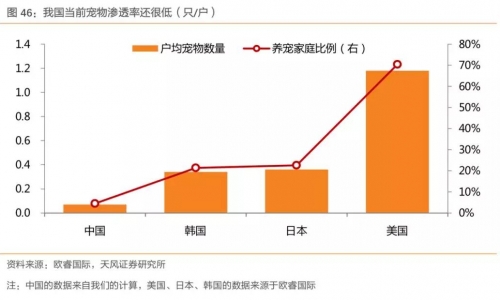 从日韩看中国,寻找宠物行业问题的答案!