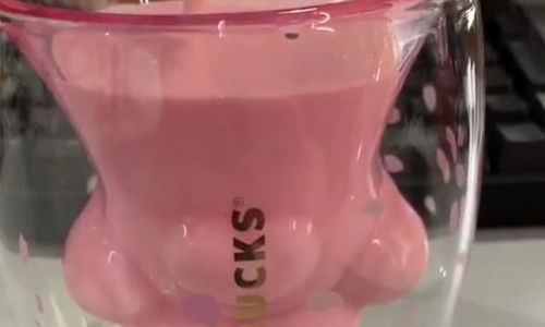 星巴克猫爪杯遭疯抢？隐藏宠物经济市场有多大？