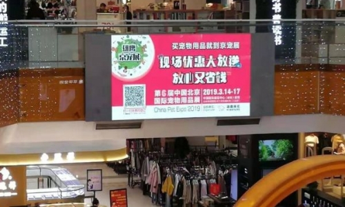 专访京宠展总经理曹林辉：以“细节有温度”为目标办好展会