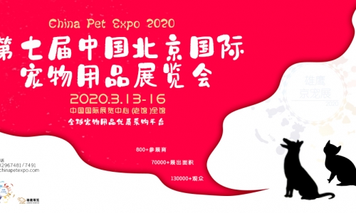 北京：风靡全国的宠物展会，轰动震撼宠物界