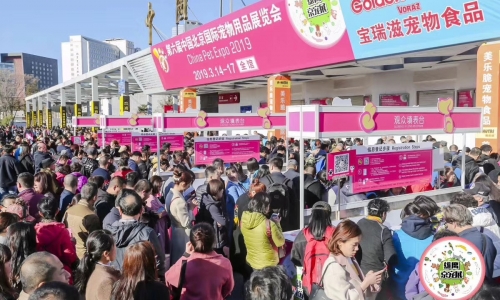 圣宠|回顾第六届京宠展,翘盼明年相约!