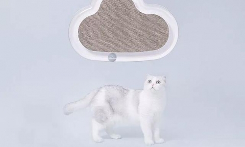 猫猫那么可爱，京宠展现场也要摘下来给它！