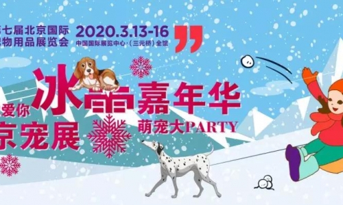 冬季嗨翻雪场|让毛孩子拥有自己专属的冰雪嘉年华