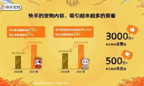 《2021快手宠物生态报告》发布：5000万创作者在快手吸猫撸狗