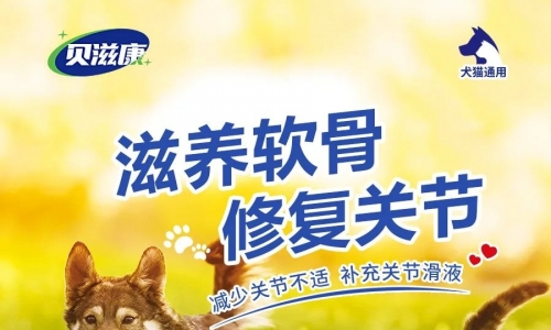 贝滋康丨宠物的幸福 从贝滋康开始