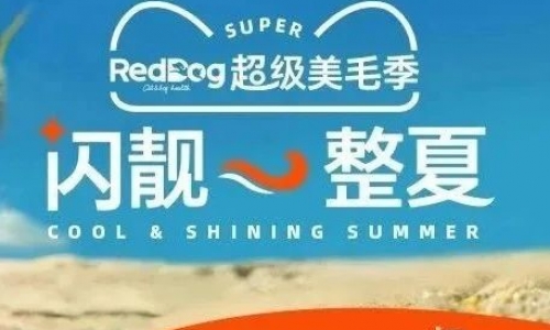 毛孩子变形计启动！免费Tony谁不想薅呀~~~