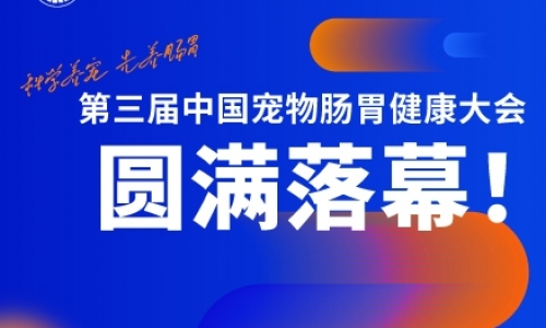 第三届中国宠物肠胃健康大会圆满落幕！豆柴引领肠胃健康新风貌