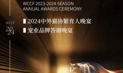 喵界盛事，共赴荣耀之夜！WCCF2023-2024赛季颁奖盛典，沈阳相聚！